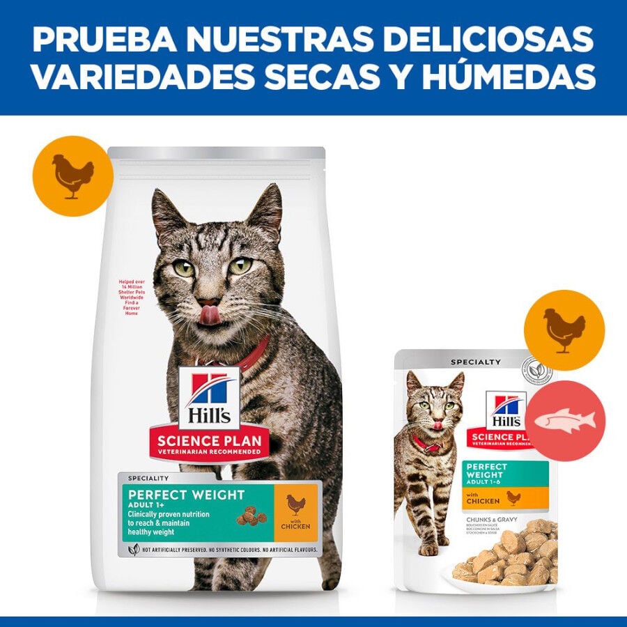 7 kg Hill's Science Plan Perfect Weight Adult pollo pienso para gatos, , large Imagen numero 7