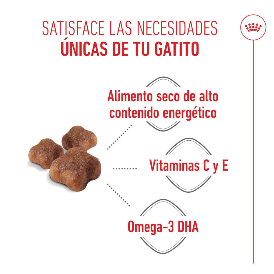 4 kg Royal Canin Mother & Babycat pienso para gatos, , large indicador imagen numero 4