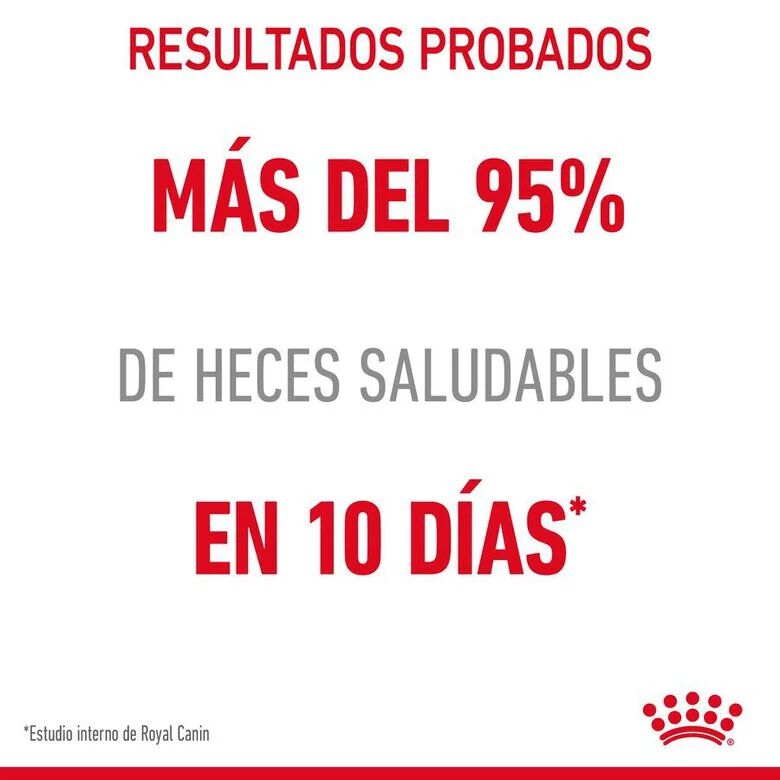 85 g Royal Canin Digestive Sensitive sobre para gatos, , large Imagen numero 2