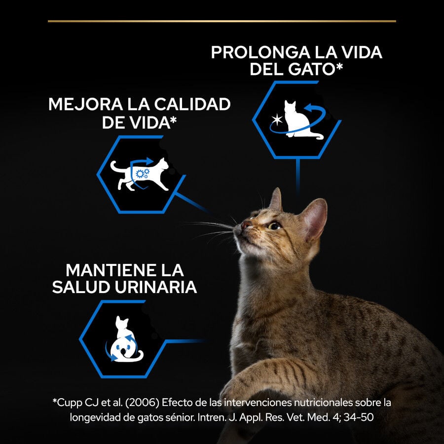 3 kg Pro Plan Senior Sterilized Pavo Pienso para gatos, , large indicador imagen numero 3