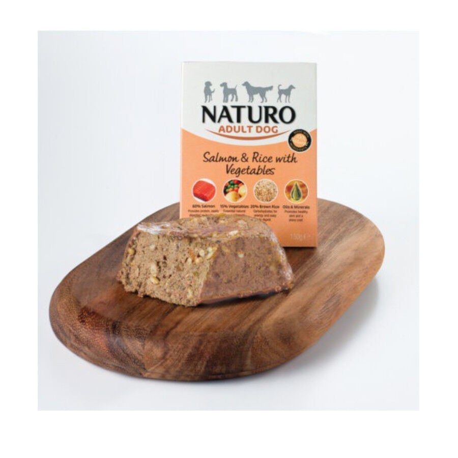Naturo Adult Salm&oacute;n con Arroz y Vegetales tarrina para perros