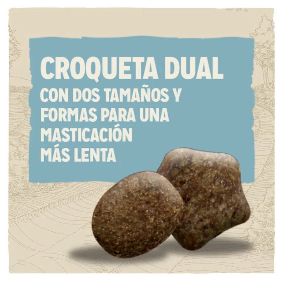 14 kg Dog Chow Puppy Cordero pienso para perros, , large indicador imagen numero 3