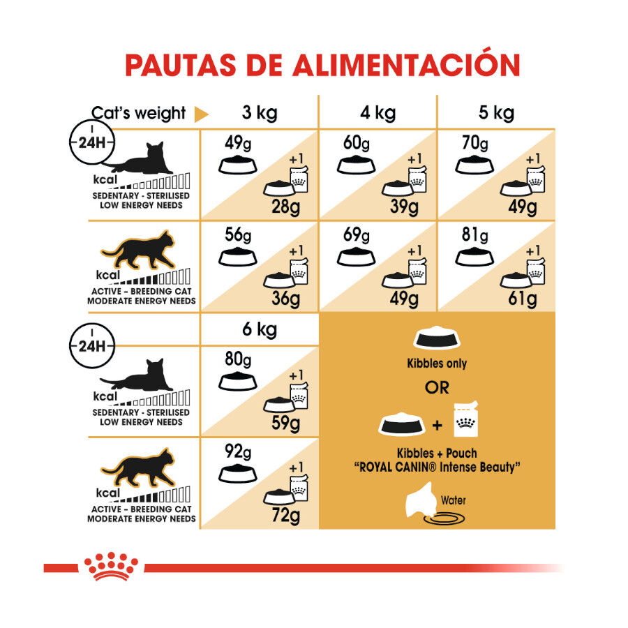 10 kg Royal Canin Adult Sphynx pienso para gatos, , large Imagen numero 8