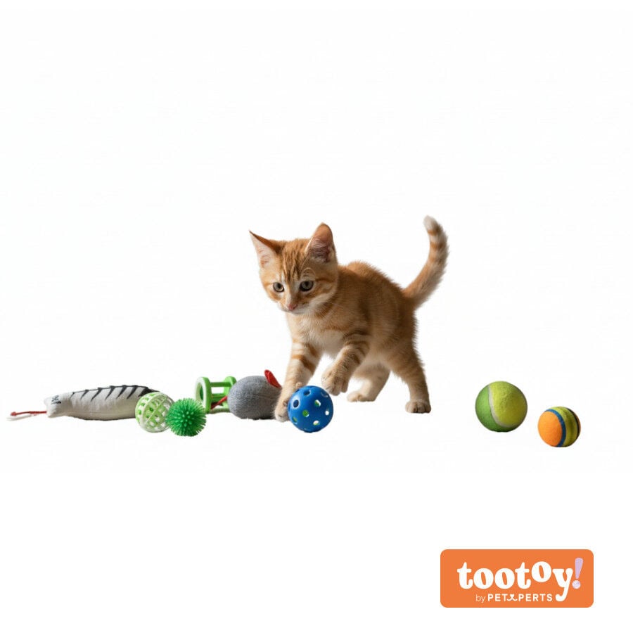 Tootoy! Caja de Juguetes Variados para gatos, , large Imagen numero 12