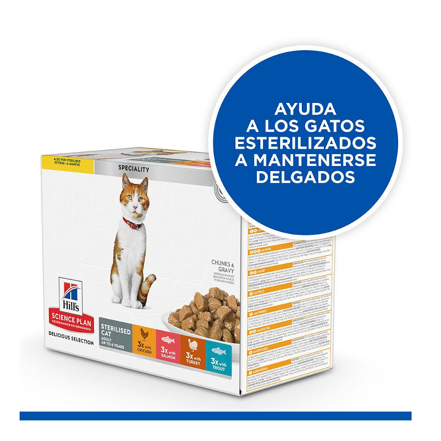 12 sobres x 85 g Hill's Science Plan Sterilised Adult Pollo y Salm&oacute;n en Salsa sobre para gatos, , large Imagen numero 4
