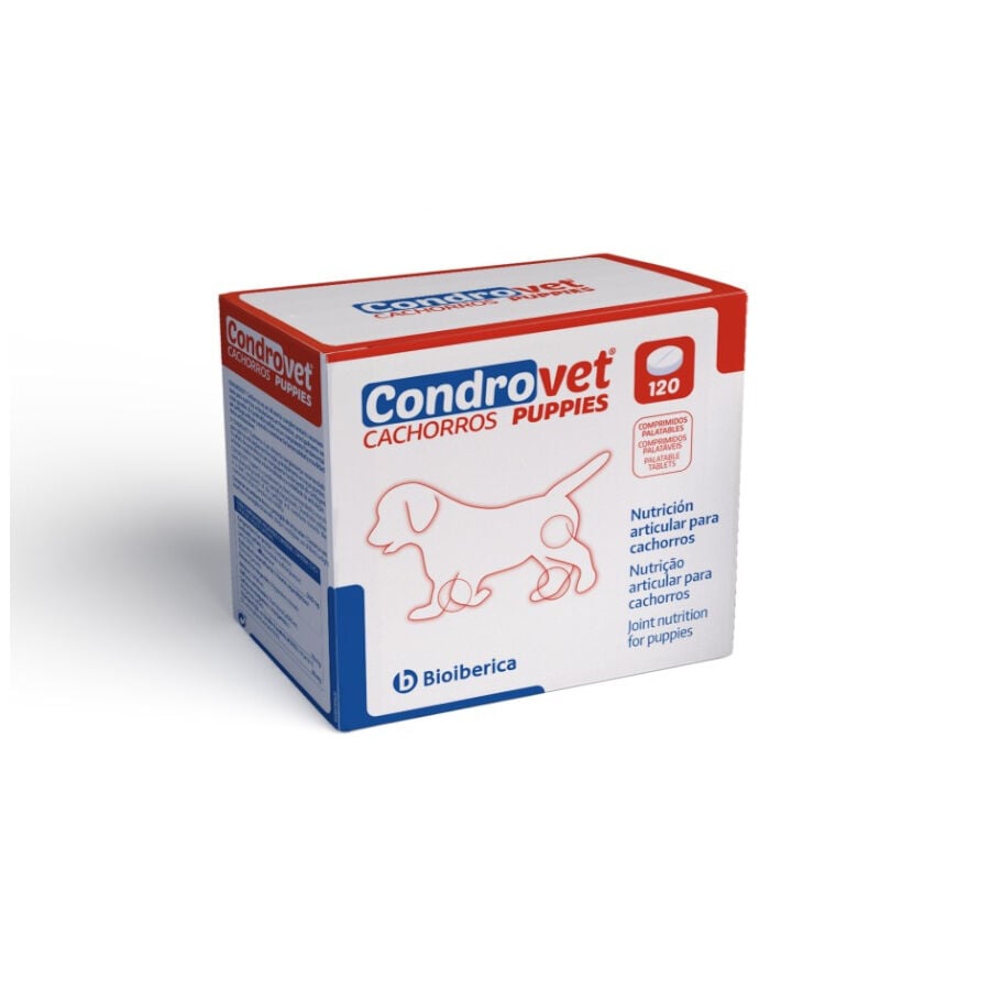 120 comprimidos Bioib&eacute;rica Condrovet Condroprotector articular para cachorros, , large Imagen numero 1