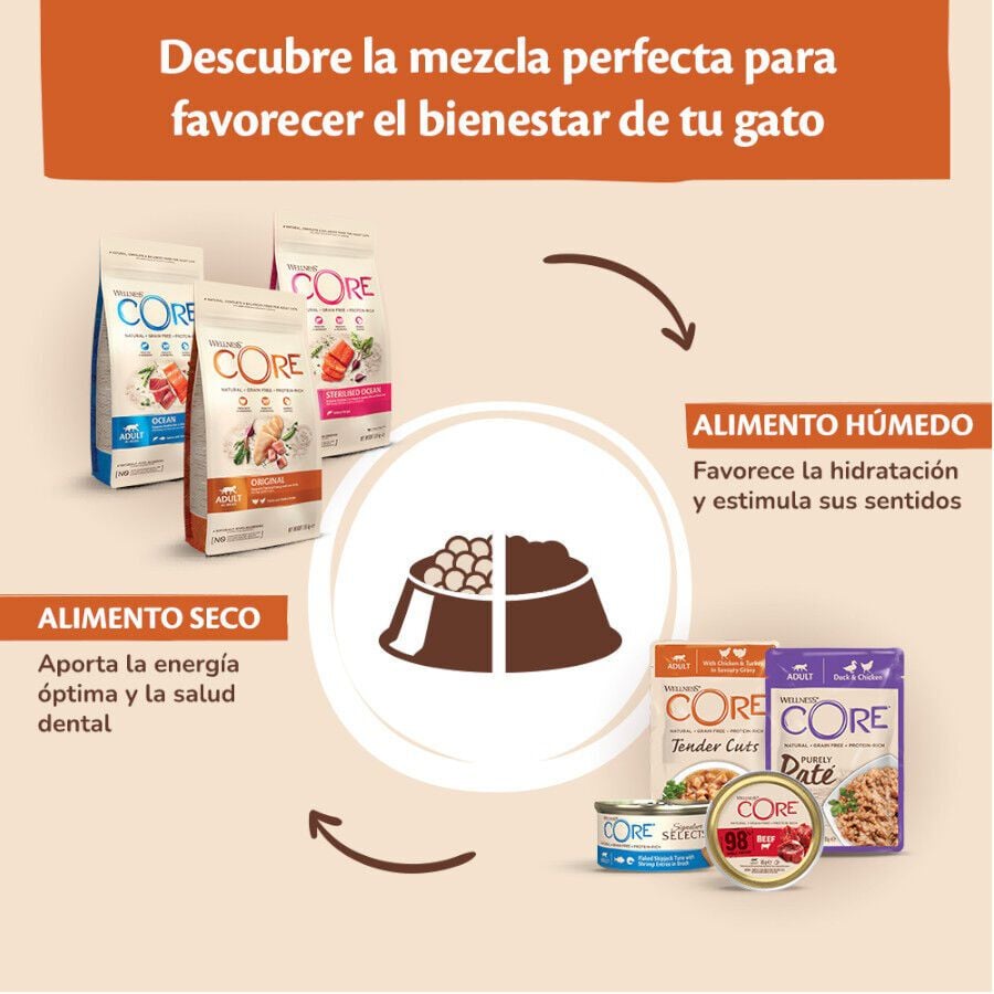 79 g Wellness Core Shredded pollo y pavo lata para gatos, , large indicador imagen numero 5
