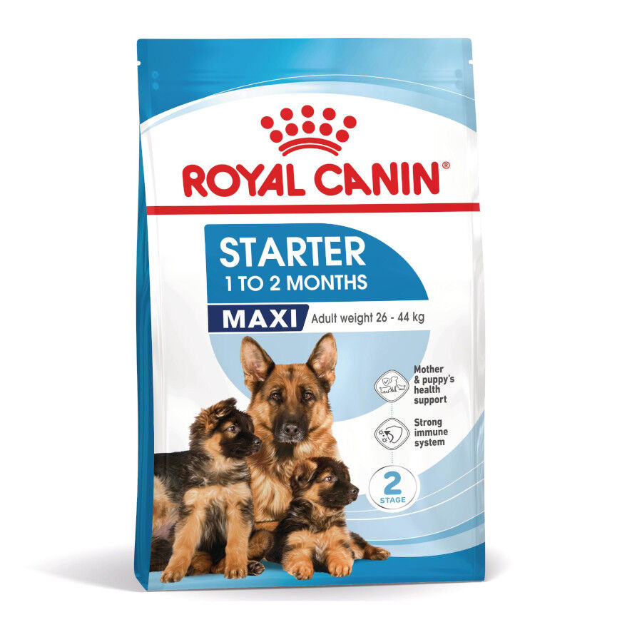 4 kg Royal Canin Starter MotheryBaby Maxi pienso para perros, , large Imagen numero 2