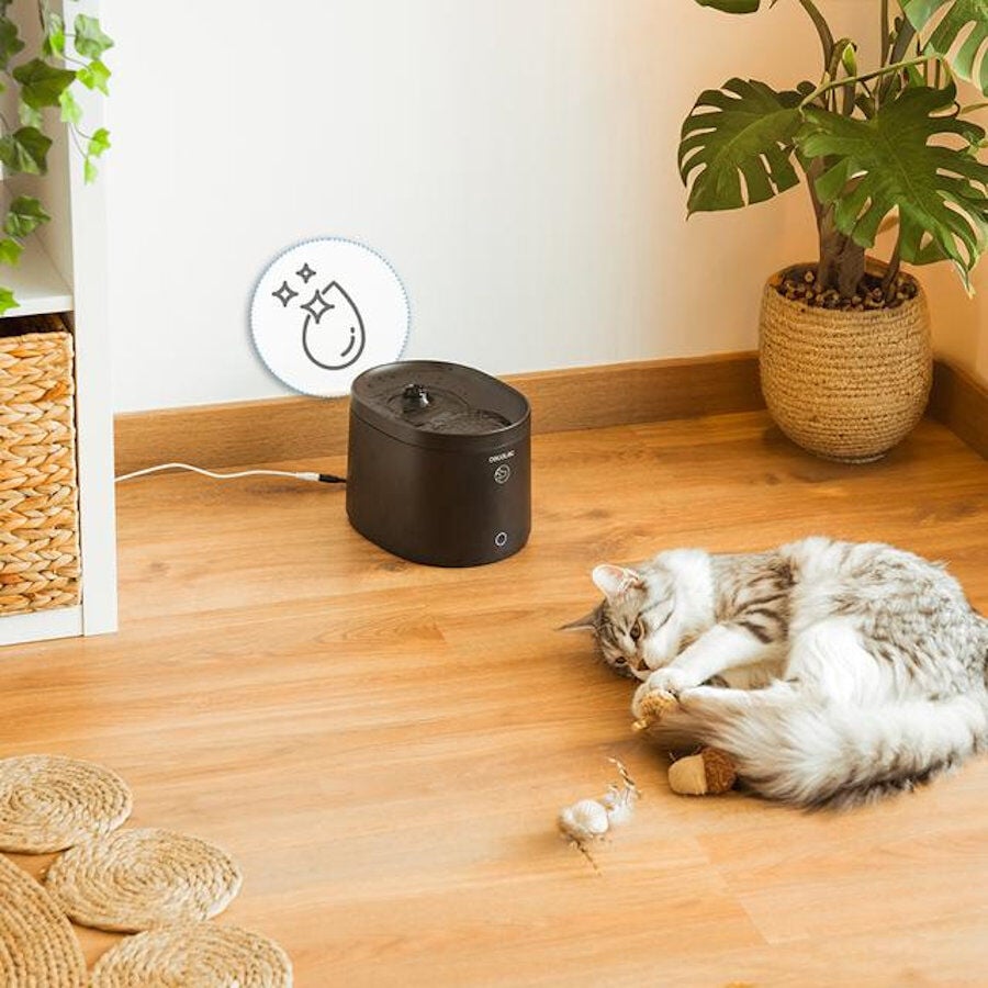 Cecotec Pumba 2500 Refresh Smart Fuente Bebedero Autom&aacute;tico para gatos, , large Imagen numero 7