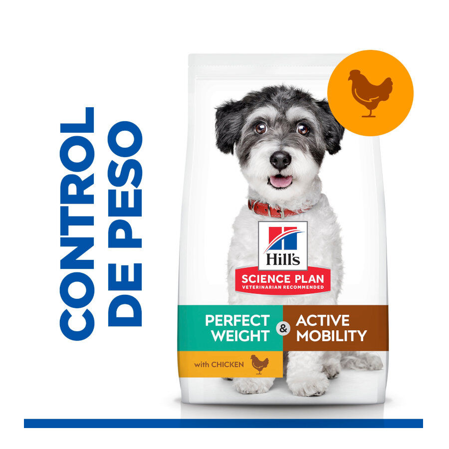 6 kg Hill's Science Plan Perfect Weight y Active Mobility Small y Mini Pollo pienso para perros, , large indicador imagen numero 2