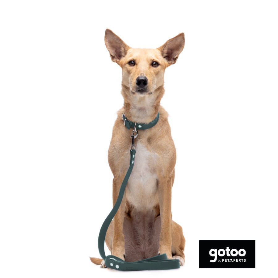 Gotoo Collar Biothane verde para perros, , large Imagen numero 9