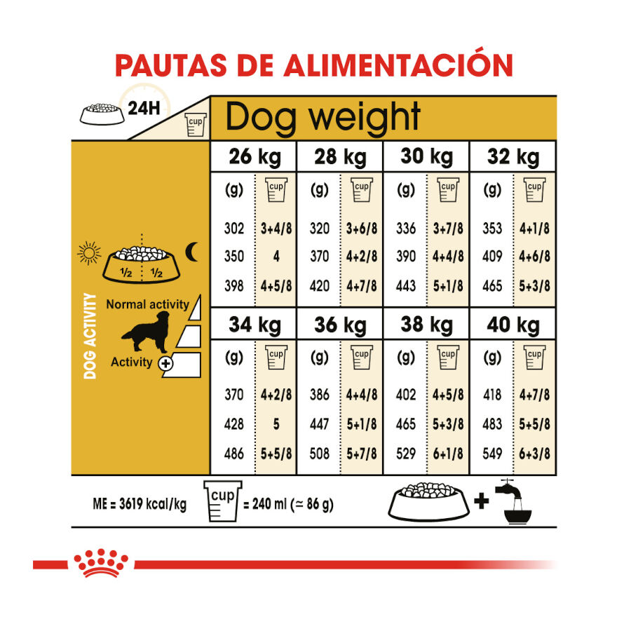 12 kg Royal Canin Adult Golden Retriever pienso para perros, , large indicador imagen numero 8