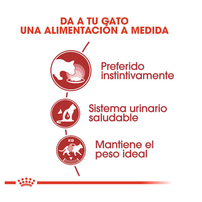 85 g Royal Canin Instinctive pat&eacute; sobre para gatos, , large indicador imagen numero 4