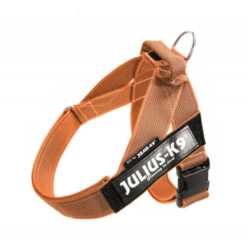 Julius K9 IDC arn&eacute;s para perros nylon naranja asa Imagen numero 1