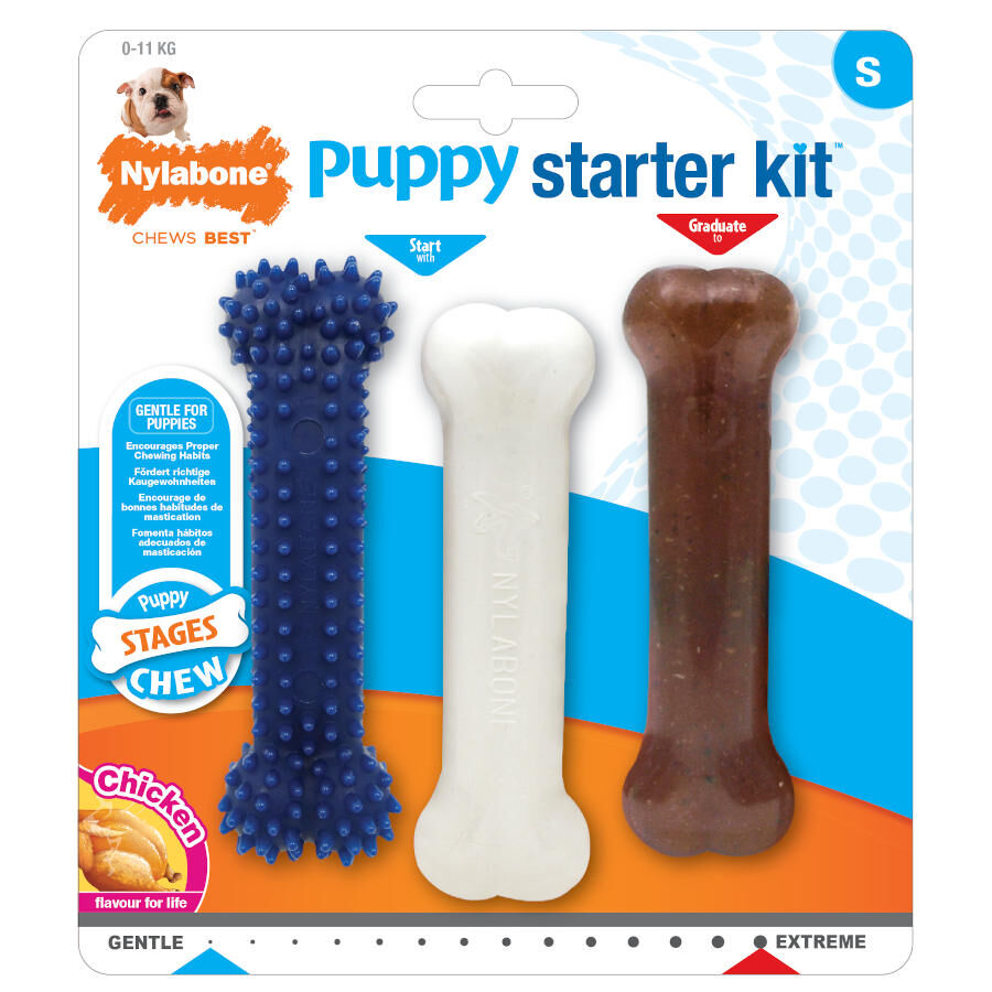 Nylabone Kit de Iniciaci&oacute;n Mordedor Triple para cachorros, , large Imagen numero 2