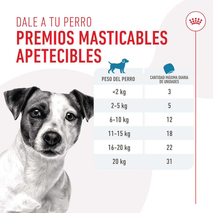 110 g Royal Canin Training Treats Snacks para perros, , large indicador imagen numero 7
