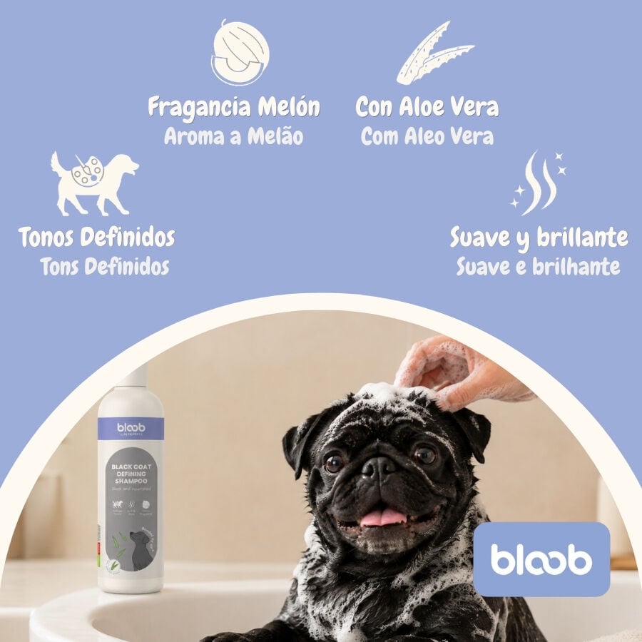 Bloob Champ&uacute; Definidor Mantos Negros Mel&oacute;n para perros, , large indicador imagen numero 3