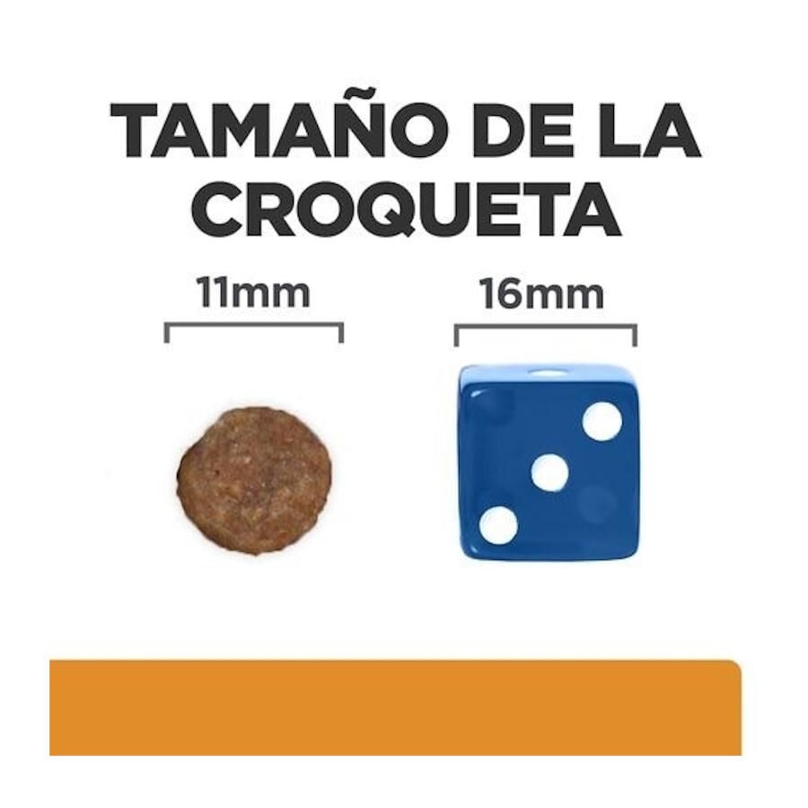 12 kg Hill's Prescription Diet kidney + Mobility pienso para perros, , large Imagen numero 7