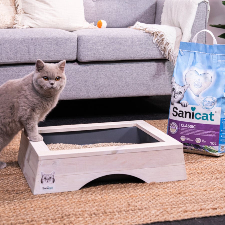 10 L Sanicat Classic Arena Absorbente Lavanda, , large Imagen numero 4
