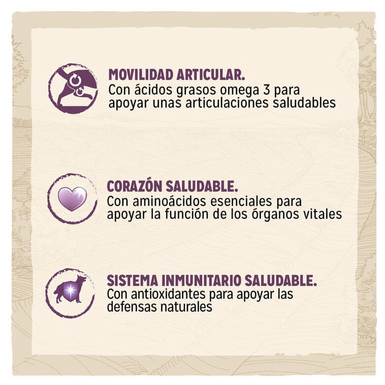 Dog Chow Mature Senior Pollo pienso para perros2 indicador imagen numero 2