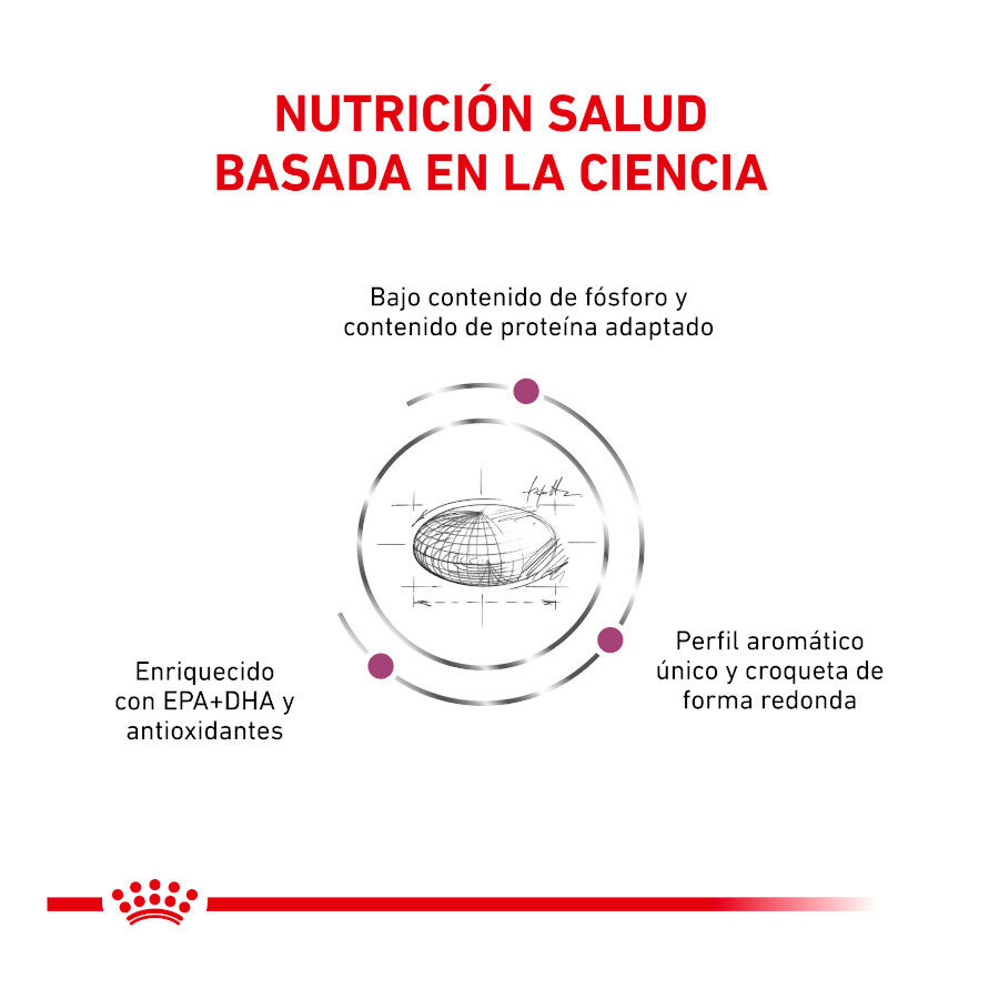 4 kg Royal Canin Veterinary Renal pienso para gatos, , large Imagen numero 4