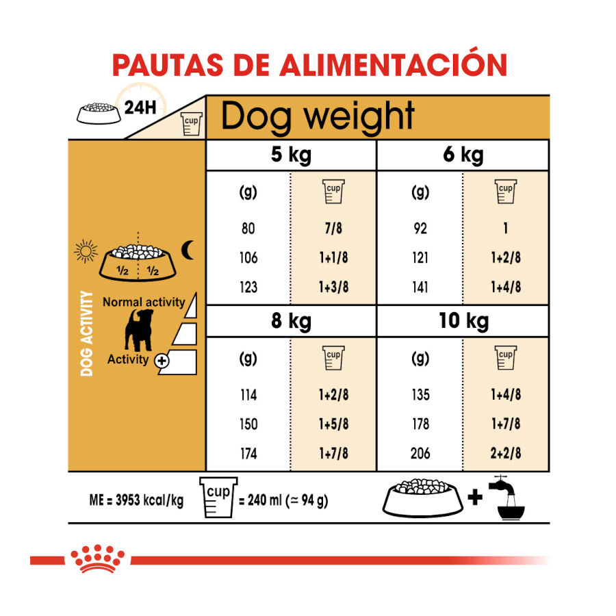 7.5 kg Royal Canin Adult Jack Russell Terrier pienso para perros, , large indicador imagen numero 8