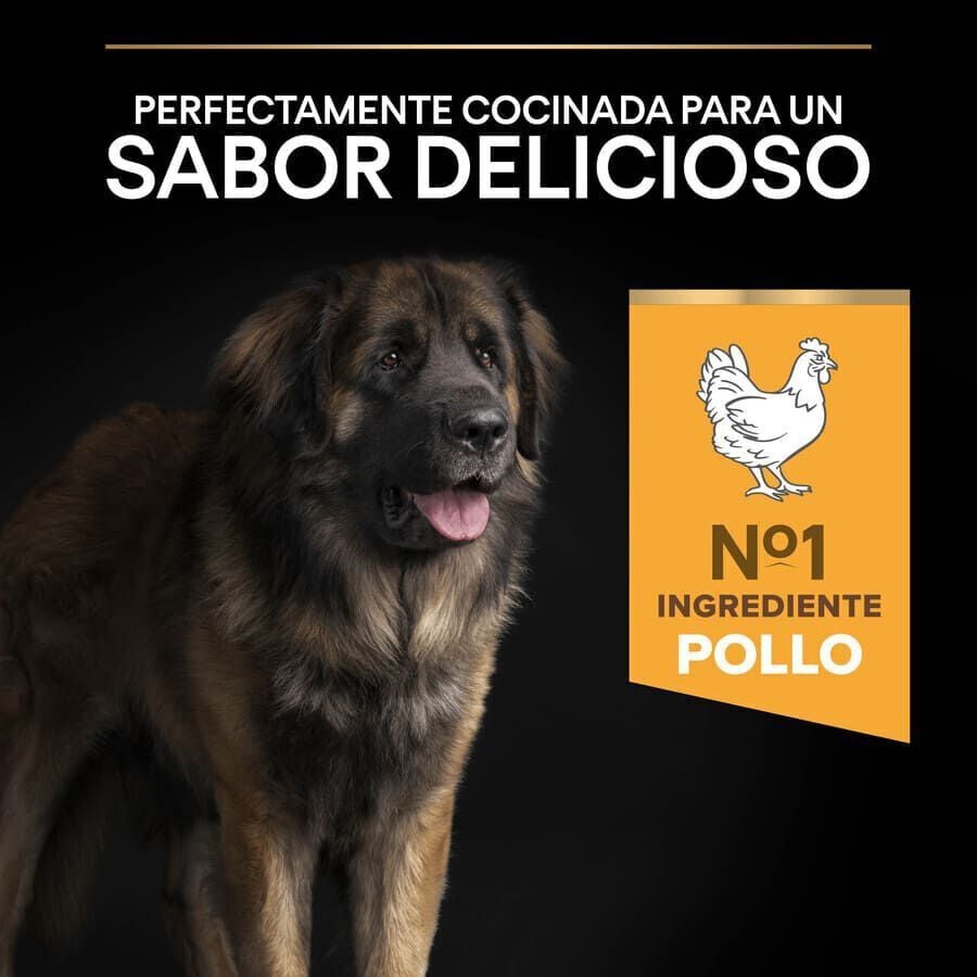 16.5 kg (14 + 2.5 kg &iexcl;gratis!) Pro Plan Large Robust Adult pienso para perros, , large indicador imagen numero 7