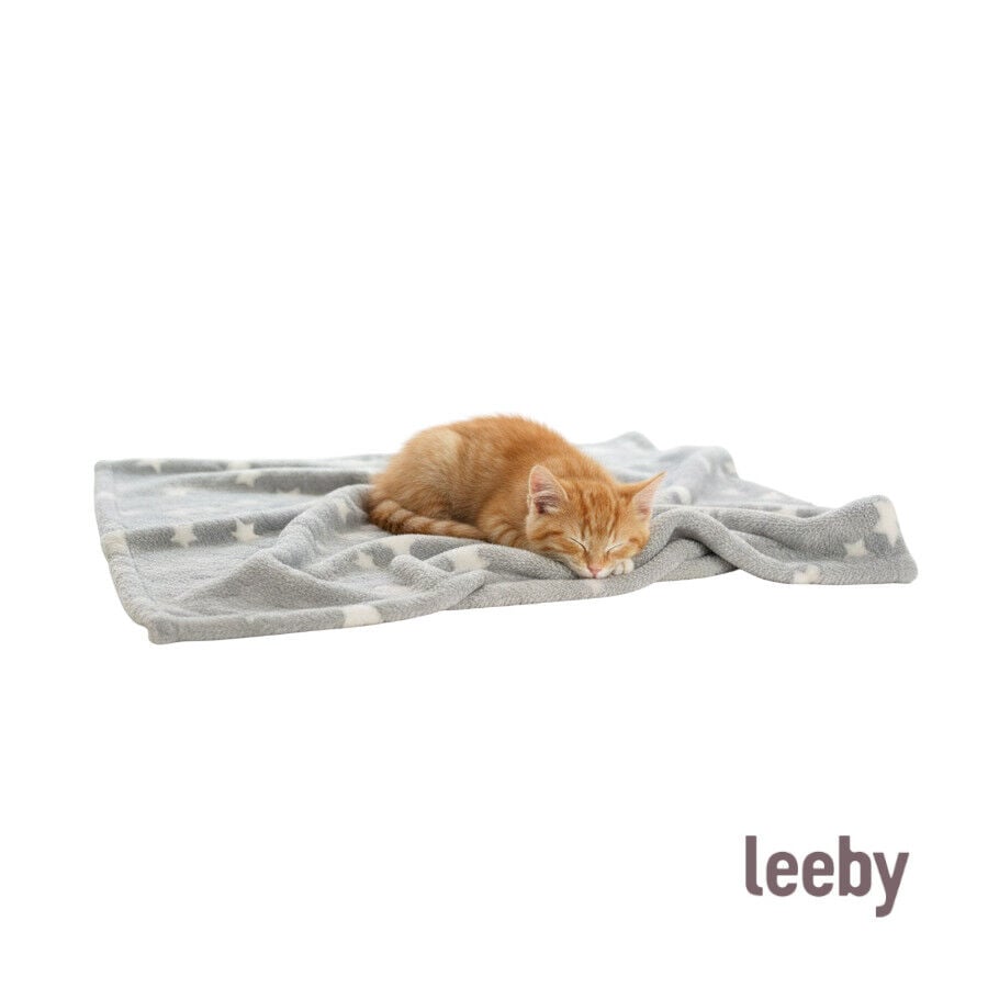 Leeby Manta Estrella Gris para gatos, , large indicador imagen numero 1