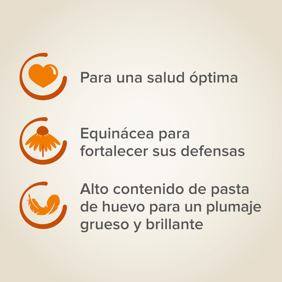 Beaphar XtraVital Premium Loros alimento para p&aacute;jaros, , large Imagen numero 4