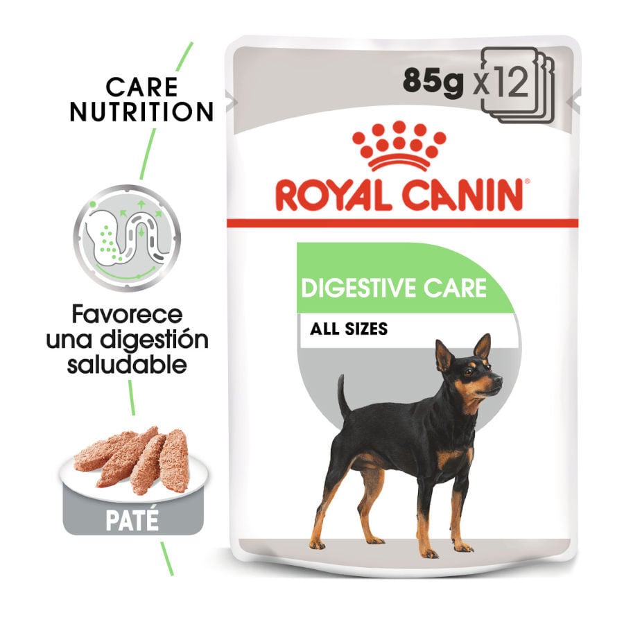 85 g Royal Canin Digestive Care Pat&eacute; sobres para perros, , large indicador imagen numero 2