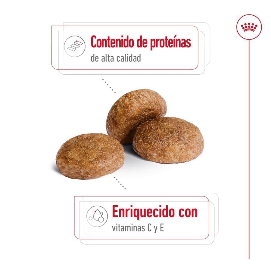 15 kg Royal Canin Medium 7+ Adult pienso para perros senior, , large Imagen numero 6