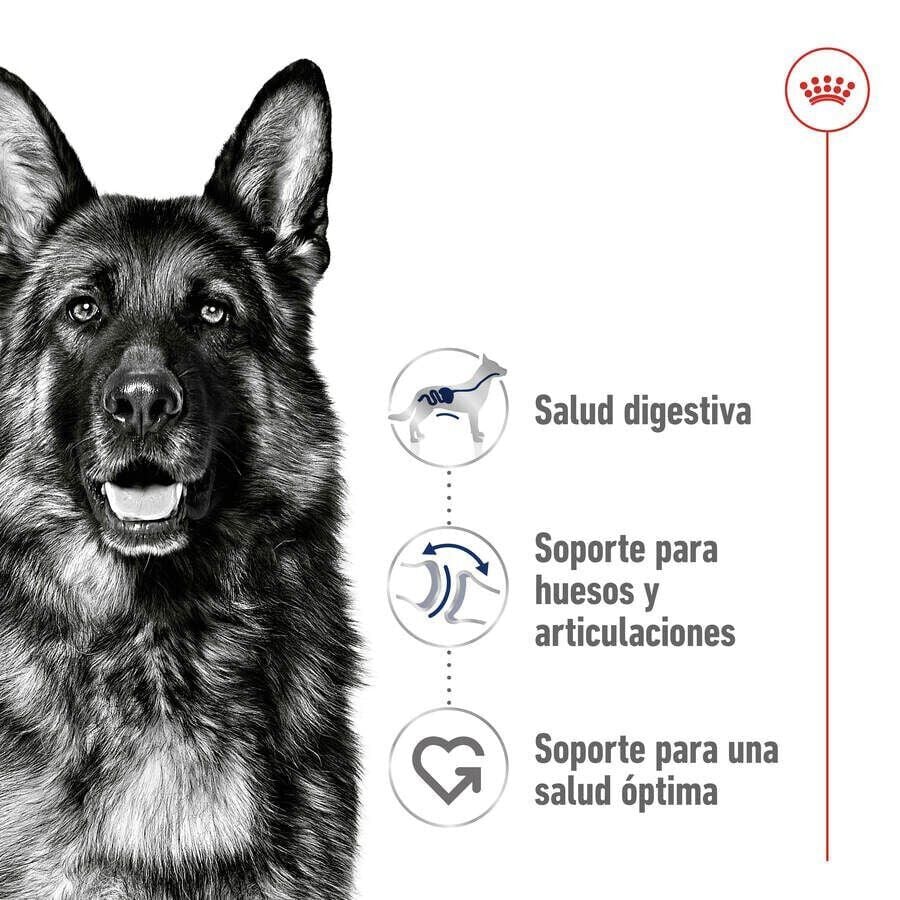 18 kg (15 + 3kg &iexcl;gratis!) Royal Canin Maxi Adult pienso para perros, , large Imagen numero 5