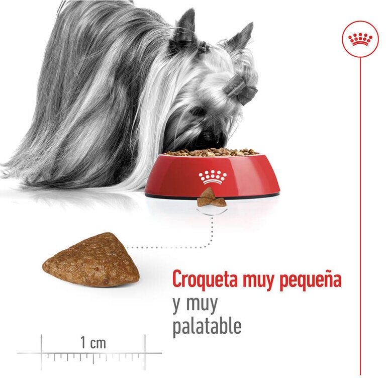 1.5 kg Royal Canin X-Small Ageing 12+ Adult pienso para perros&nbsp;senior, , large indicador imagen numero 7