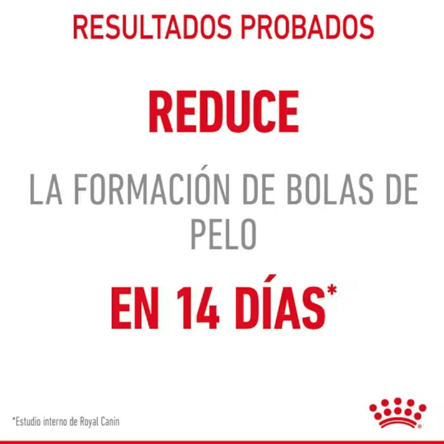 10 kg Royal Canin Intense Hairball pienso para gatos, , large Imagen numero 6