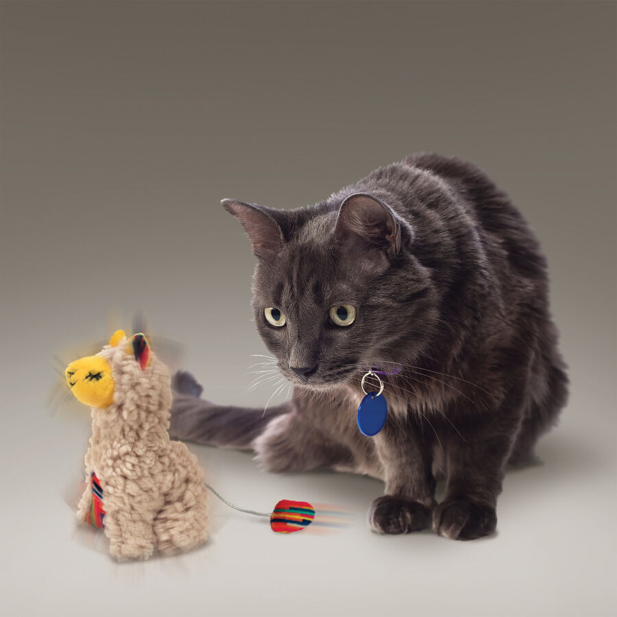 Kong Softies Buzzy Llama de peluche para gatos, , large Imagen numero 2
