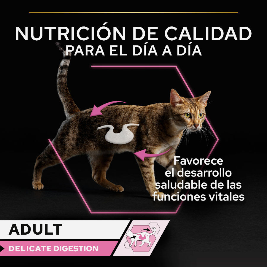 10 sobres x 85 g Pro Plan Adult Delicate Digestion Pavo y Pescado del Oc&eacute;ano en Salsa sobre para gatos - Multipack, , large indicador imagen numero 2