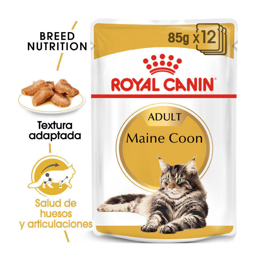 85 g Royal Canin Maine Coon sobres para gatos, , large Imagen numero 2