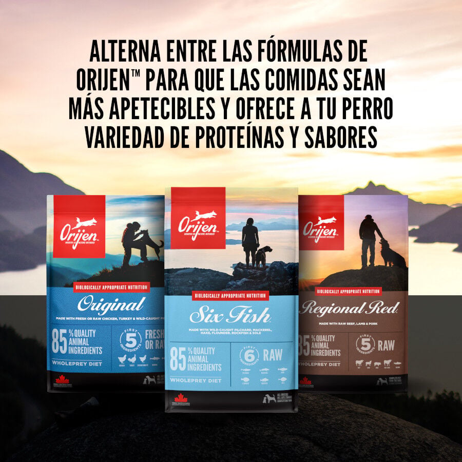 Orijen Tundra Pienso Seco Cordero y Ciervo para perros, , large Imagen numero 9