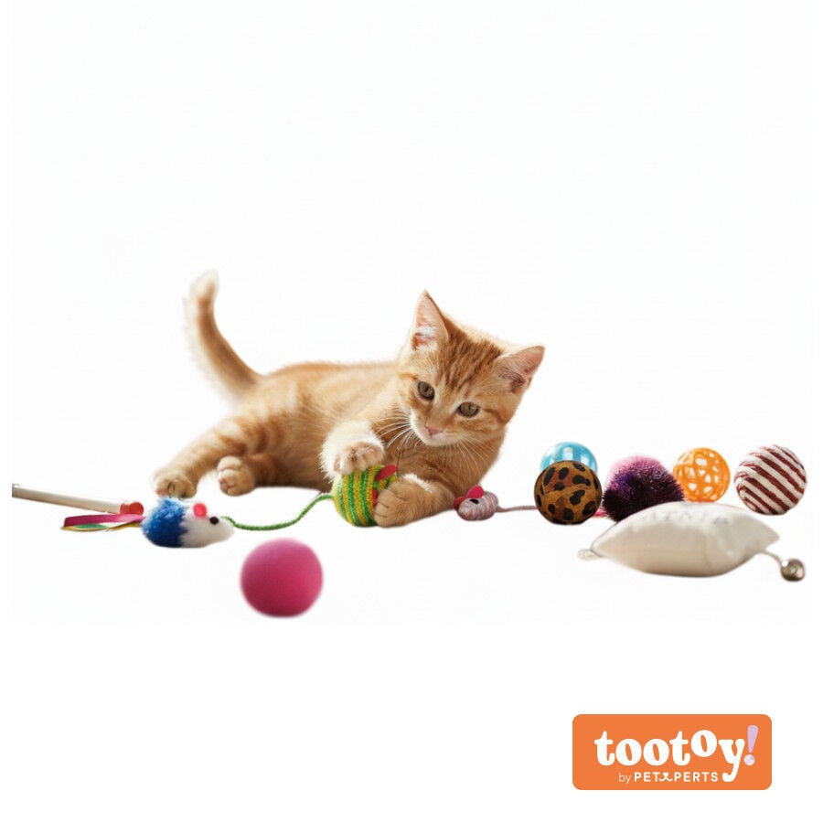 Tootoy! Caja con Juguetes Interactivos para gatos, , large indicador imagen numero 3