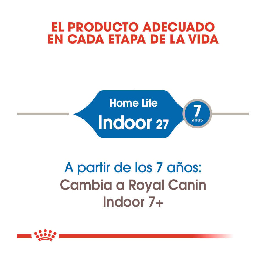 10 kg Royal Canin Home Life Indoor 27 pienso para gatos, , large Imagen numero 4