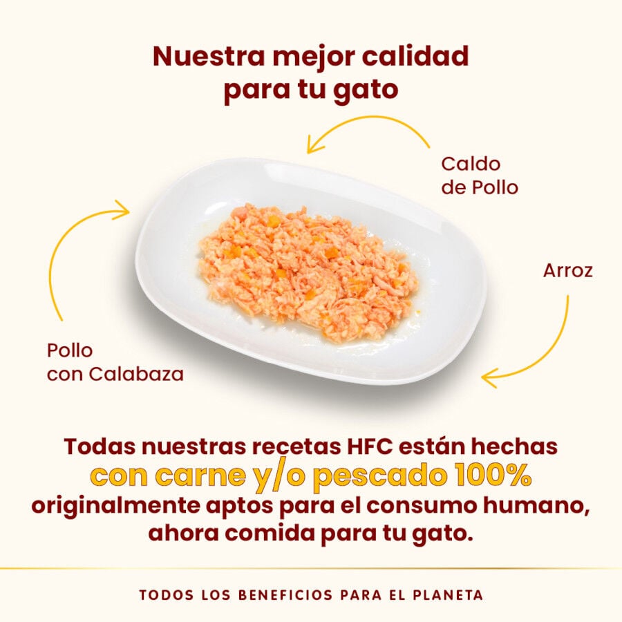 70 g Almo Nature HFC Natural Pollo Calabaza lata para gatos, , large indicador imagen numero 3