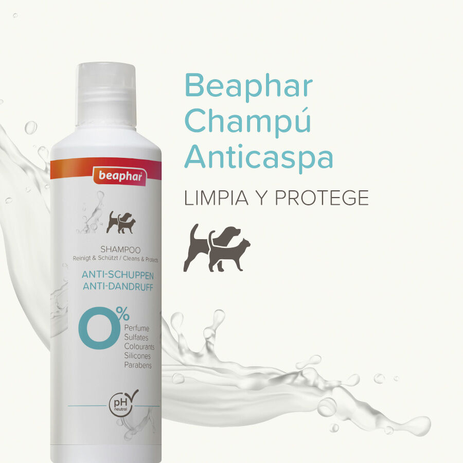 Beaphar Champ&uacute; Anticaspa para perros y gatos, , large Imagen numero 2