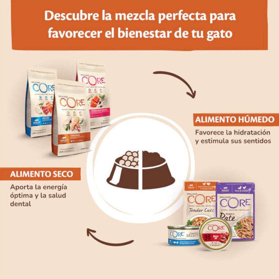 85 g Wellness Core Tender Cuts salm&oacute;n y at&uacute;n sobre en salsa para gatos, , large indicador imagen numero 5