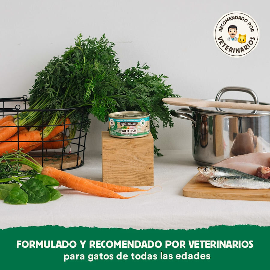 120 g Wild Balance BARF Pescado y Pavo lata para gatos, , large indicador imagen numero 4
