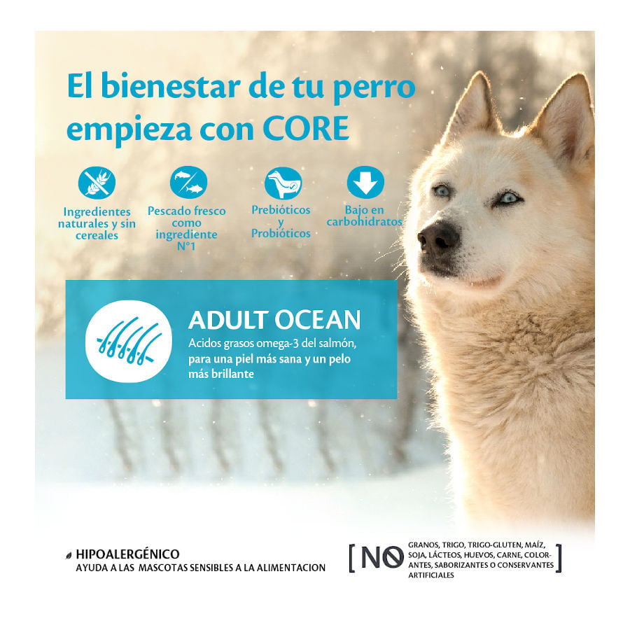 10 kg Wellness Core Adult Medium/Large Ocean Salm&oacute;n y At&uacute;n pienso para perros, , large indicador imagen numero 2