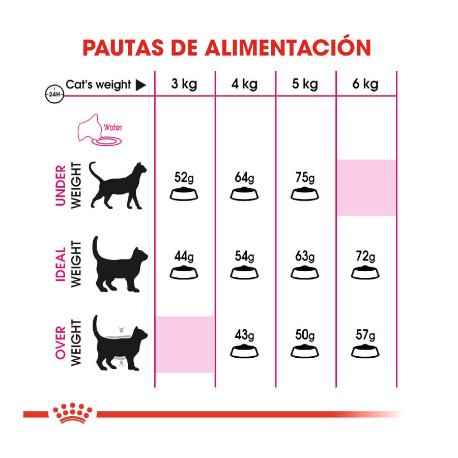 10 kg Royal Canin Regular Fit 32 pienso para gatos, , large indicador imagen numero 6