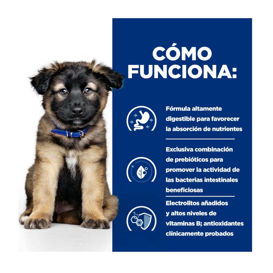 12 kg Hill's Prescription Diet I/D Digestive Care Puppy Pienso Seco Pollo para perros, , large Imagen numero 3