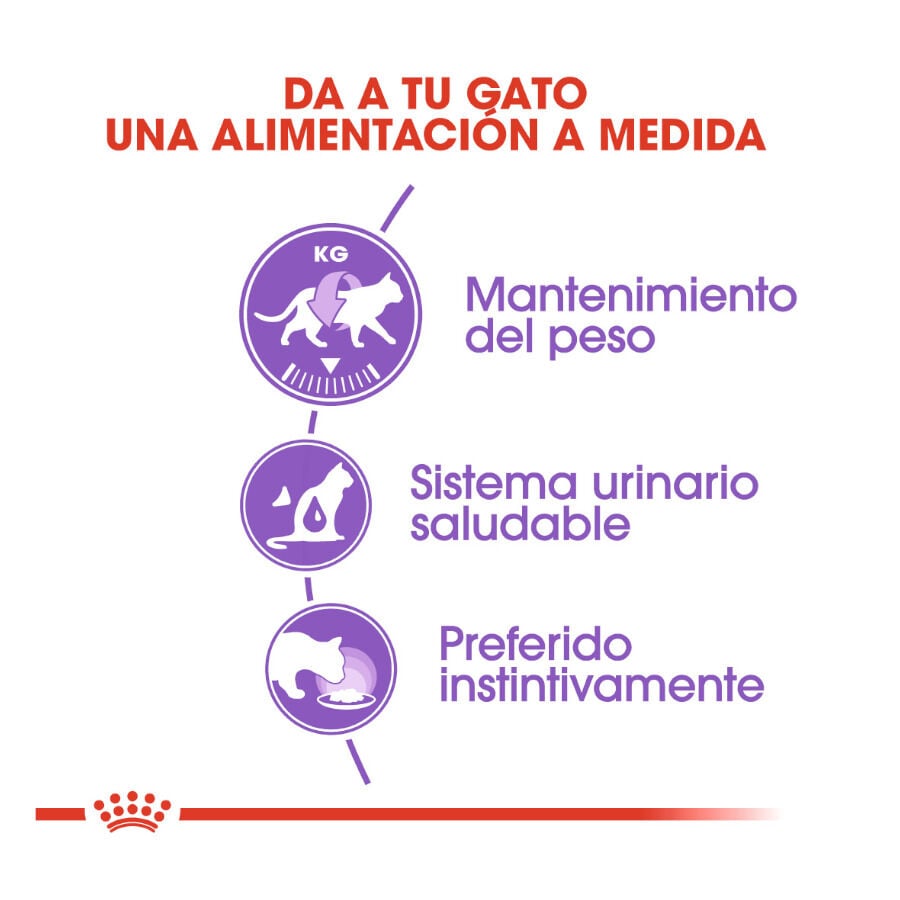 85 g Royal Canin Sterilised gelatina sobres para gato, , large Imagen numero 5