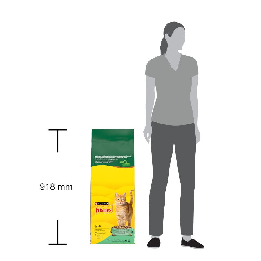 20 kg Friskies Conejo y Pollo pienso para gatos, , large indicador imagen numero 7