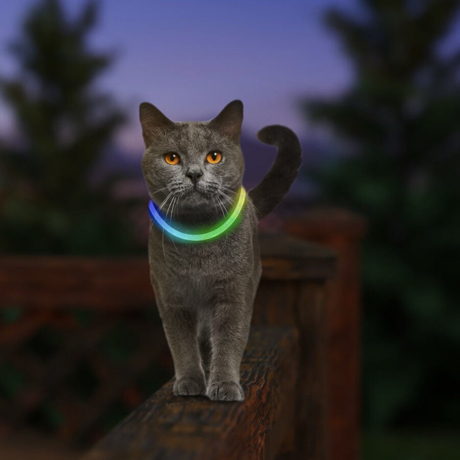 Nite Ize NiteMeow Collar de Seguridad LED para gatos, , large Imagen numero 2